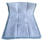 Puppy Pads Factory - Puppy Pads 100pcs Jumbo