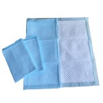 Puppy Pads Factory - Puppy Pads 100pcs Jumbo