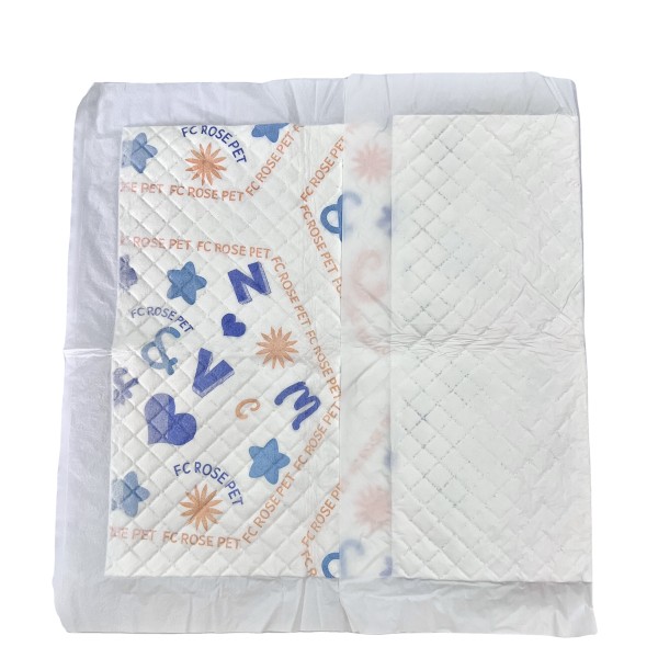 Training Pads Supplier - Custom OEM ODM Fast