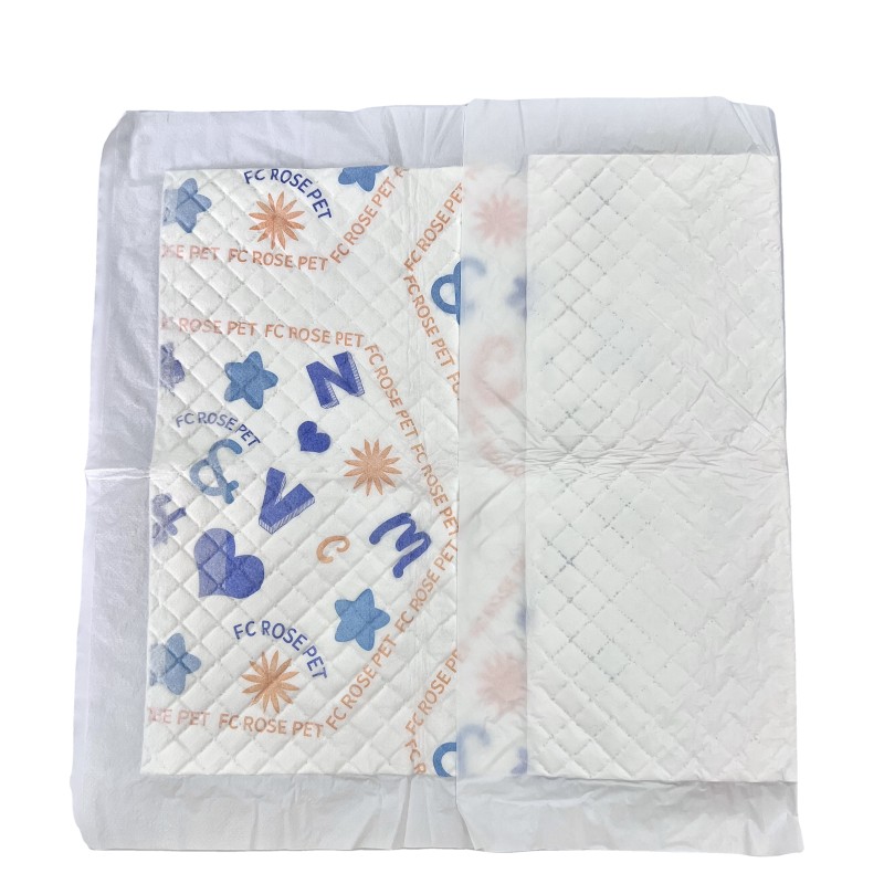 Training Pads Supplier - Custom OEM ODM Fast