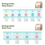 Baby Diapers Supplier - Premium Top Quality Organic