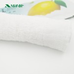 Airline Wipes Factory - Big Single Packed Refreshing