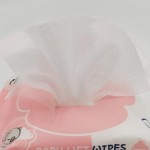 Baby Wipes Supplier - AIWIBI 2022 Disposable Skin