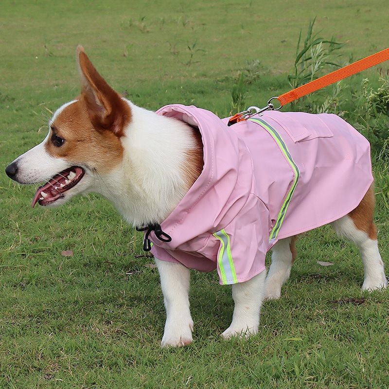 Dog Rain Jacket Factory - Reflective Large Outdoor Waterproof
