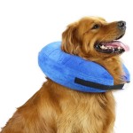 Pet Inflatable Collar Factory - In Stock Soft Dog Cone Adjustable