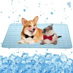 Pet Training Mat Factory - Wholesale Customized Leakproof Cotton