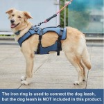 Dog Carry Sling Manufacturer - Wholesale Large Robustness Leash