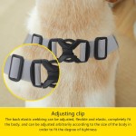 Dog Recovery Suit Manufacturer - Leg Sleeves Elastic Band Front
