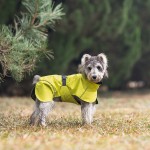 Pet Raincoat Factory - Double Collar Waterproof Reflective
