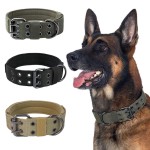 Dog Collar Manufacturer - In Stock Heavy Duty Tactical Nylon