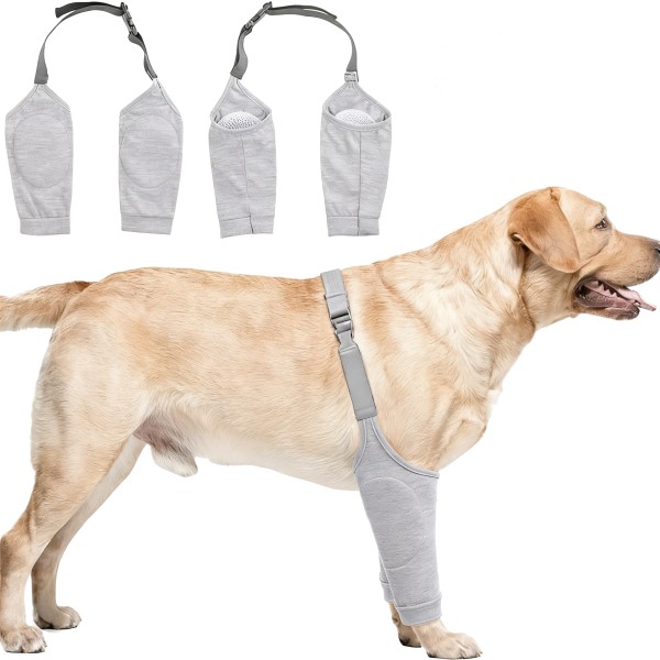 Dog Leg Brace Factory - Post-Surgery Breathable Recovery Sleeve