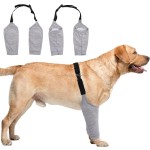 Dog Recovery Suit Manufacturer - Leg Sleeves Elastic Band Front