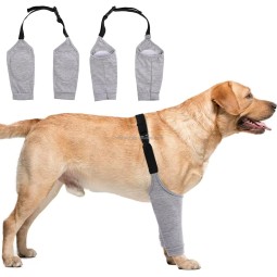 Dog Recovery Suit Manufacturer - Leg Sleeves Elastic Band Front