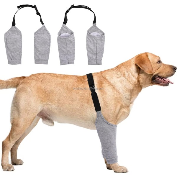 Dog Recovery Suit Manufacturer - Leg Sleeves Elastic Band Front