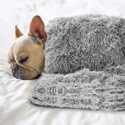 Pet Blanket Manufacturer - In Stock Washable Faux Fur Cozy