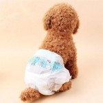 Pet Male Diaper Factory - 2023 Hot Selling Reasonable Price