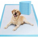 Pet Training Pads Factory - Eco Friendly Poop Bags Car Mat