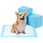 Dog Training Pads Factory - No Leaking Soft Eco Friendly