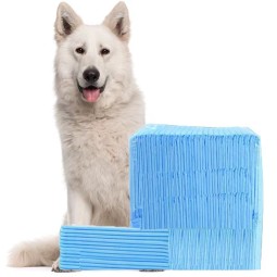 Pet Training Pads Manufacturer - Wholesale 100pcs Disposable Dog Pee