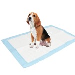 Dog Pads Manufacturer - High Quality Super Absorbent 60x60cm