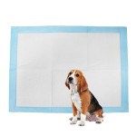 Dog Training Pads Factory - No Leaking Soft Eco Friendly