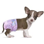 Dog Diaper Manufacturer - High Quality Absorbent Soft Male