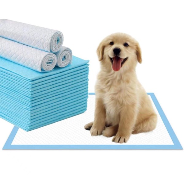 Puppy Training Mats Manufacturer - Wholesale Portable Toilet Pee