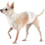 Pet Training Pad Manufacturer - Free Sample Disposable Pee