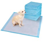 Pet Training Pads Factory - Eco Friendly Poop Bags Car Mat