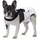 Pet Training Pad Manufacturer - Free Sample Disposable Pee