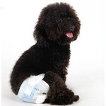 Pet Dog Diapers Factory - Factory Price Wholesale Reusable