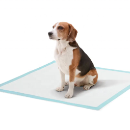 Puppy Training Pads Factory - Disposable 100 Pack Toilet