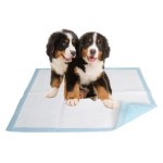 Pet Urine Pads Manufacturer - 100 Pcs Premium Cat Dog Cleaning