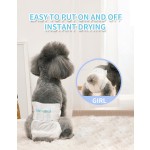 Dog Toilets Factory - Disposable Portable Wc Urinals Diaper