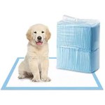 Dog Pee Pads Factory - High Quality 5-layer Leak-proof Disposable