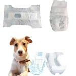 Pet Training Pad Manufacturer - Free Sample Disposable Pee
