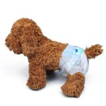 Dog Toilets Factory - Disposable Portable Wc Urinals Diaper