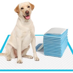 Puppy Training Pads Factory - 2023 Best Sell Disposable Dog