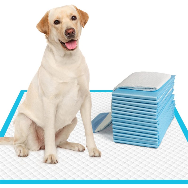 Puppy Training Pads Factory - 2023 Best Sell Disposable Dog