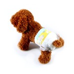 Pet Training Pads Factory - Wholesale Super Absorbent Soft