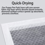 Pet Pee Pads Manufacturer - Basic Black Carbon Bamboo Charcoal