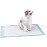 Dog Pee Pads Factory - High Quality 5-layer Leak-proof Disposable