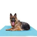 宠物尿垫生产厂家 - 可洗尿液收集袋狗用