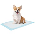 Dog Training Pads Factory - No Leaking Soft Eco Friendly