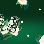 Diaper Manufacturer - Factory Provides Customized