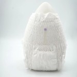 Adult Diapers Manufacturer - High Quality Disposable