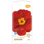 婴儿纸尿裤生产厂家-益盈红山茶短裤式3D防漏超吸