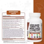 WELLBODY Lion's Mane Mushroom Capsules 20:1 Factory Supply OEM/ODM Private Label Supports Adult Body Health