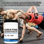 WELLBODY 500g Creatine Monohydrate Powder 200 Mesh Pure Creatine OEM Factory Private Labels for Adults Not for Pregnant Women