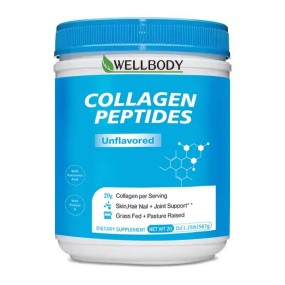 WELLBODY Wholesale Price Collagen Peptides Powder Chocolate Fish Hydrolyzed Collagen Peptide Marine Collagen Peptides Powder